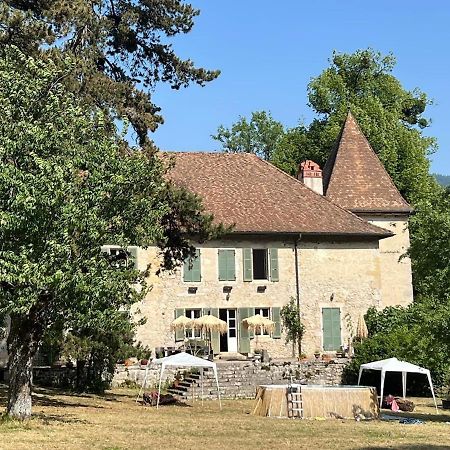 Domaine Du Tres-Haut - Chateau De Montanges Buitenkant foto