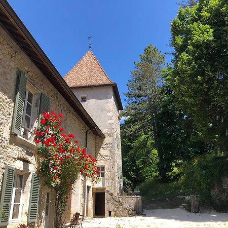 Domaine Du Tres-Haut - Chateau De Montanges Buitenkant foto