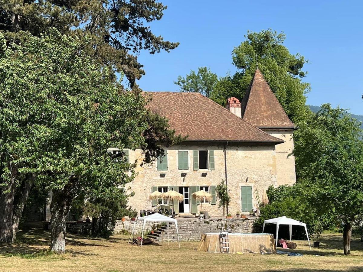 Domaine Du Tres-Haut - Chateau De Montanges Buitenkant foto