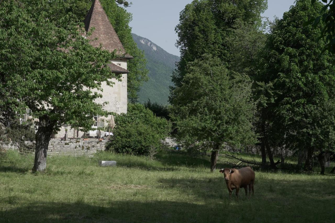 Domaine Du Tres-Haut - Chateau De Montanges Buitenkant foto