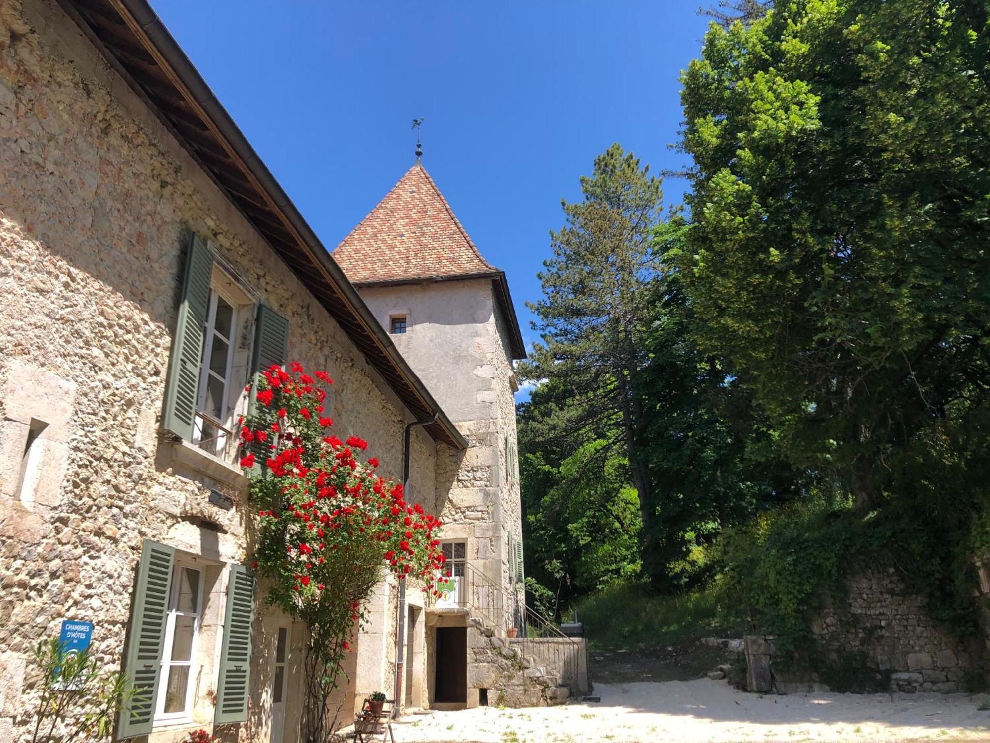 Domaine Du Tres-Haut - Chateau De Montanges Buitenkant foto