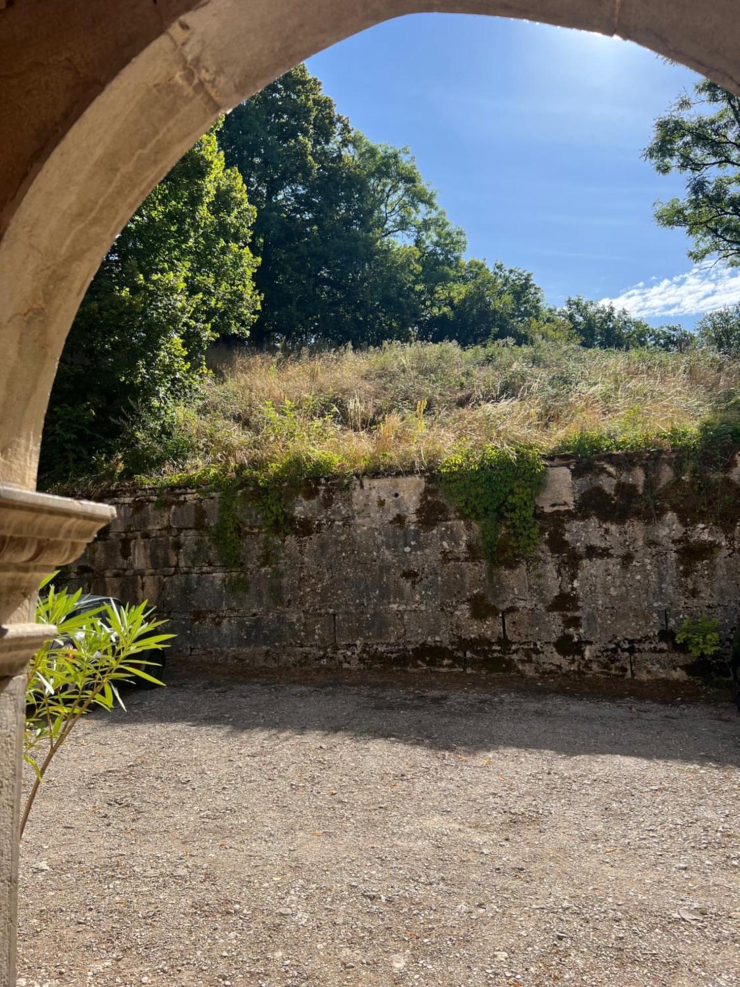 Domaine Du Tres-Haut - Chateau De Montanges Buitenkant foto