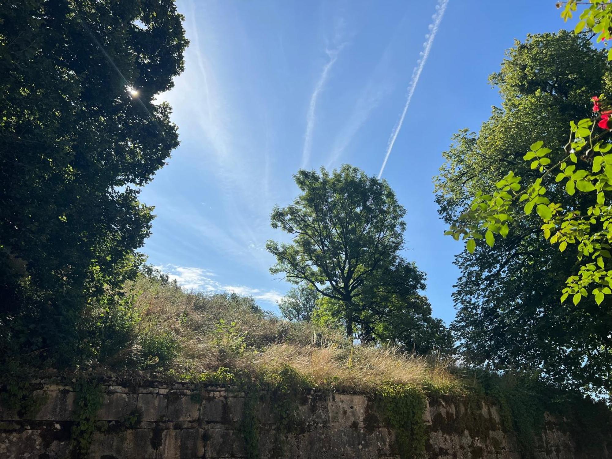 Domaine Du Tres-Haut - Chateau De Montanges Buitenkant foto