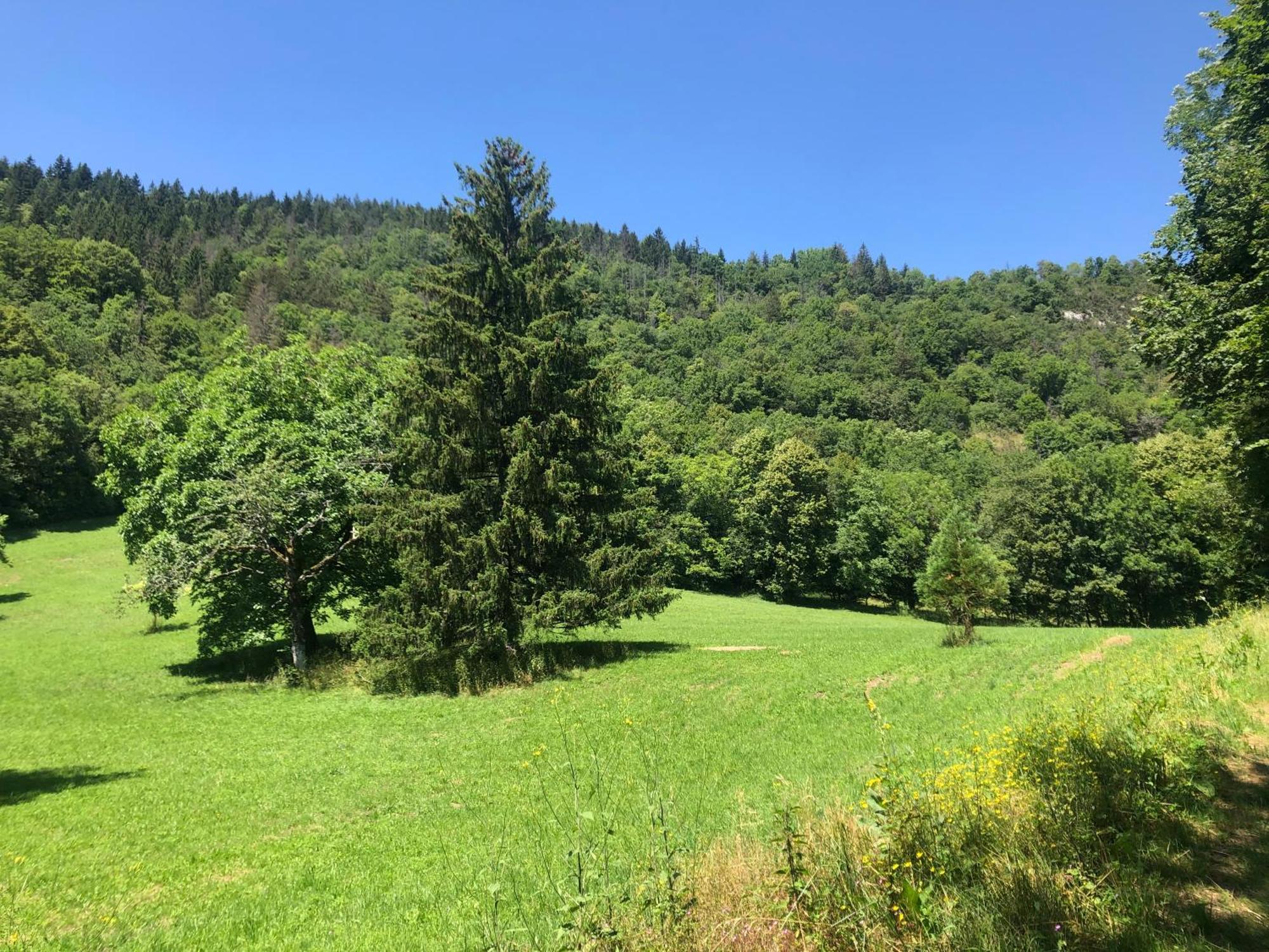 Domaine Du Tres-Haut - Chateau De Montanges Buitenkant foto